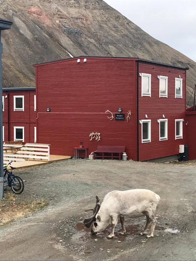 Haugen Pensjonat Svalbard Longyearbyen Zewnętrze zdjęcie